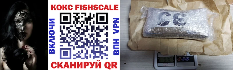 где продают наркотики  Суздаль  Cocaine FishScale 