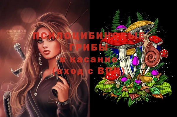 экстази Пересвет