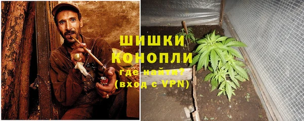 стаф Пестово