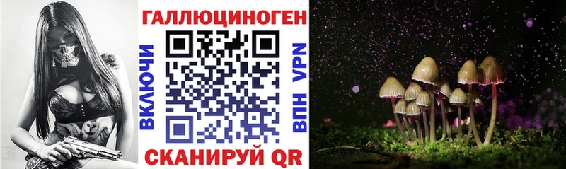 Галлюциногенные грибы Psilocybine cubensis  Суздаль 